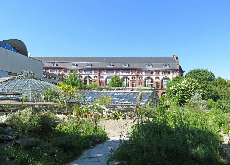 University of Basel Botanical Garden, Switzerland